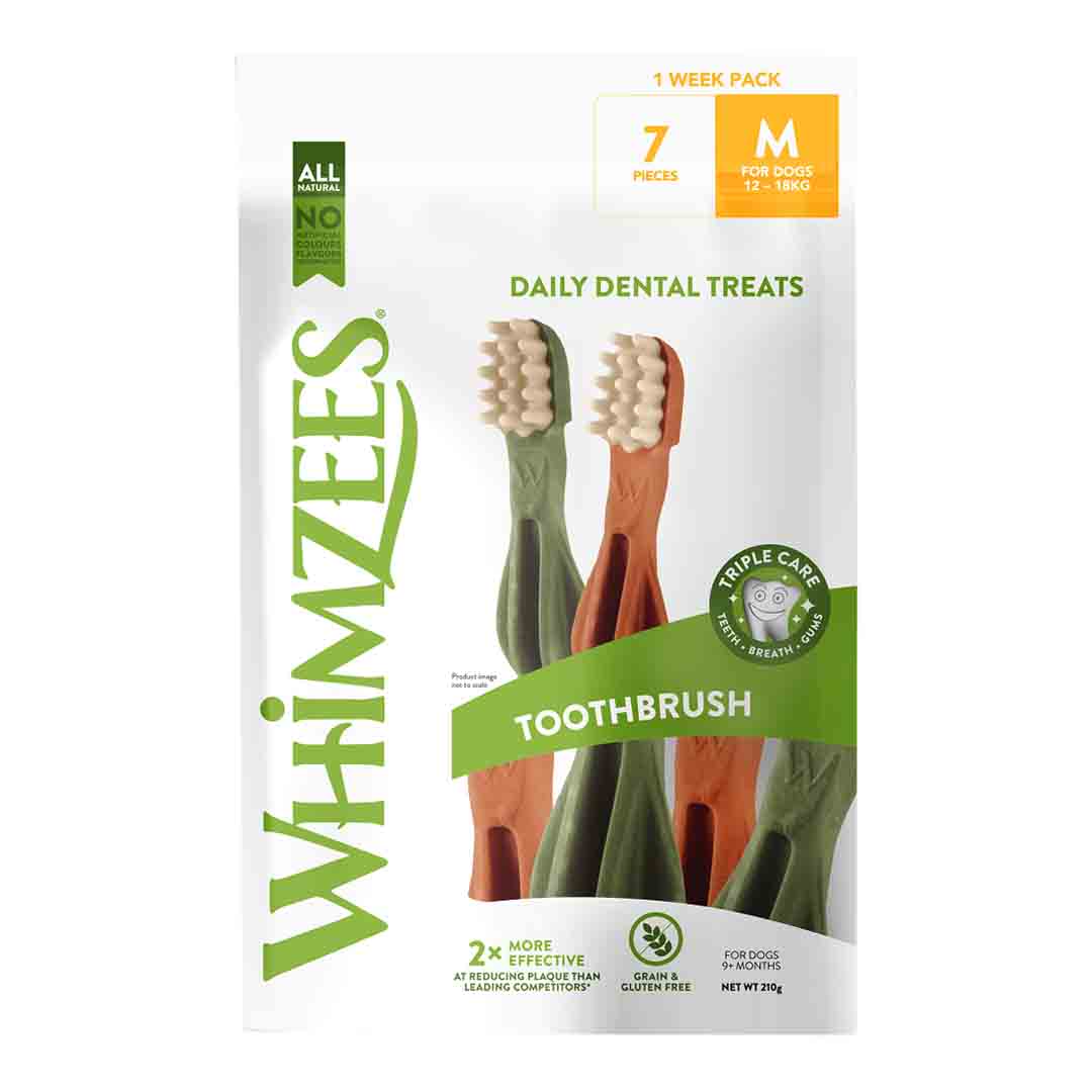 Whimzees Tooth Brush Medium Dog Treat