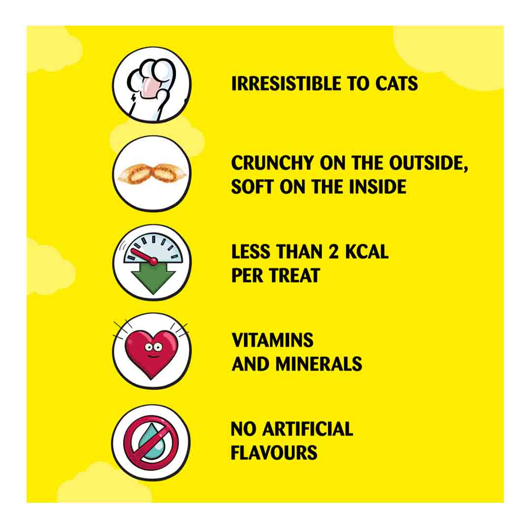 Dreamies Pouch with Delicious Cheese Cat Treats, 60g