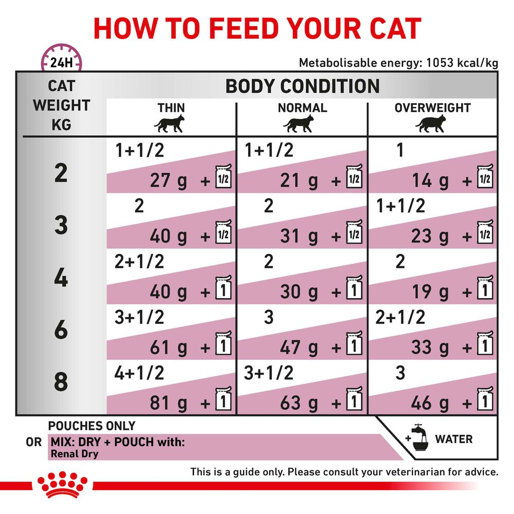 Royal Canin Renal Adult Wet Cat Food In Loaf 48x85g
