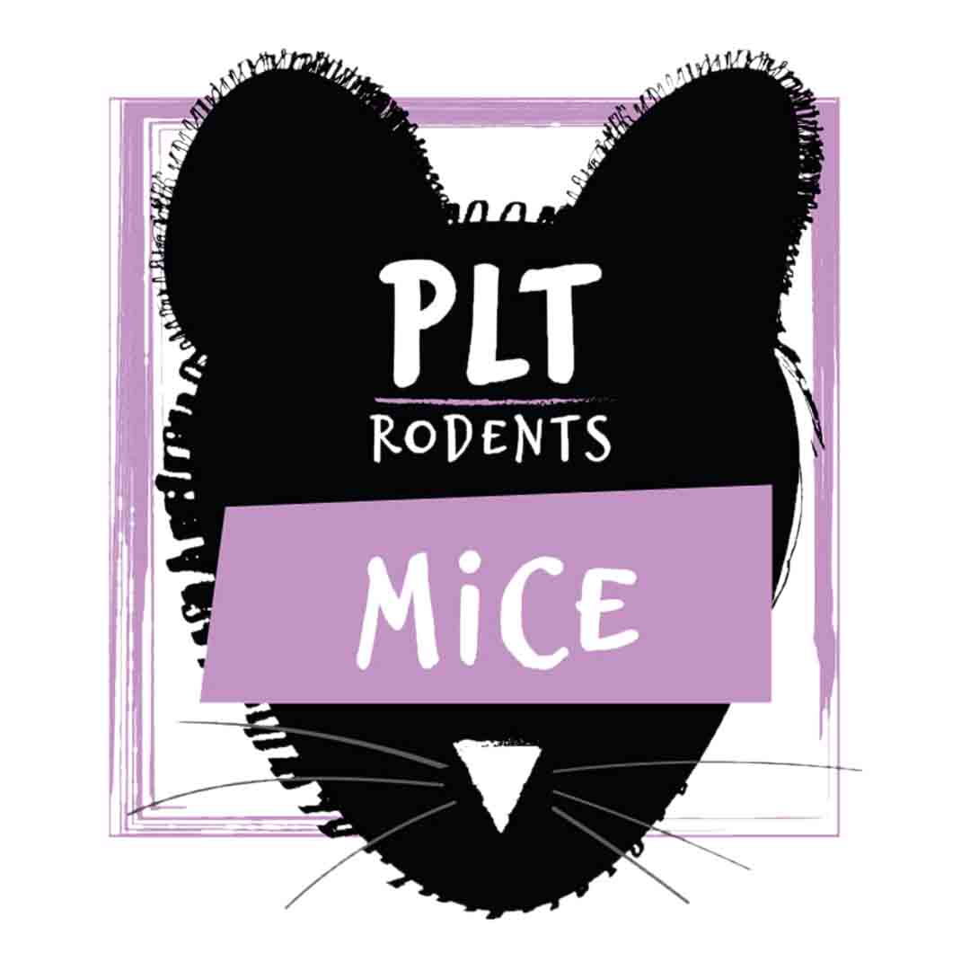 PLT X-Large Frozen Mice Reptile Food, 30g x 10 Packs 