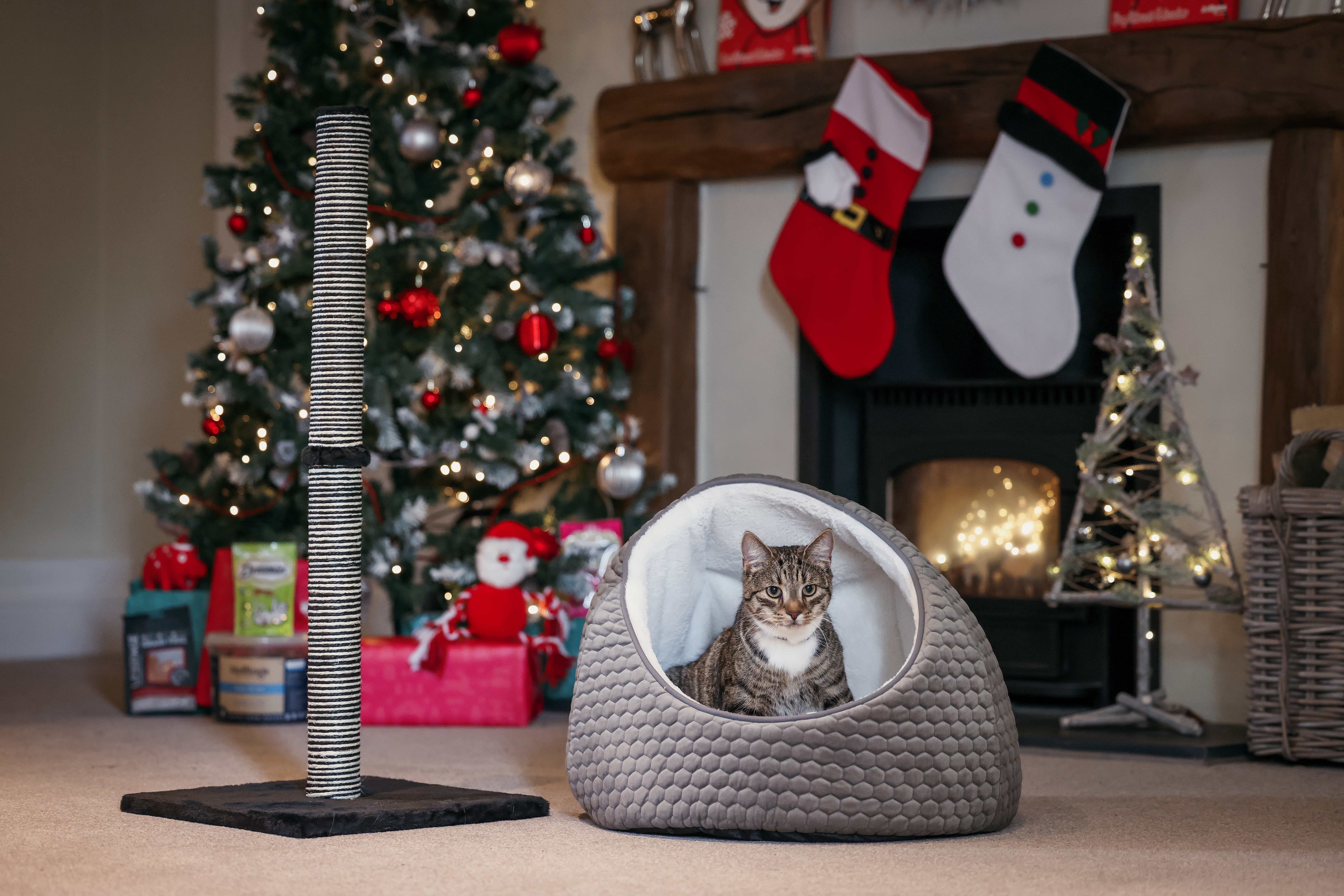 Cat sat in bed with cat scratcher next to them.