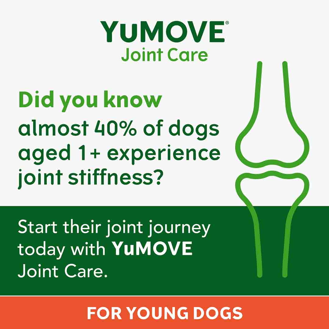 YuMOVE Joint Suppplement for Young and Active Dogs, 60 tablets