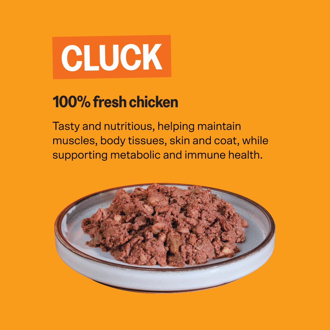 KatKin CLUCK Fresh Cat and Kitten Food (Chicken) 1x80g