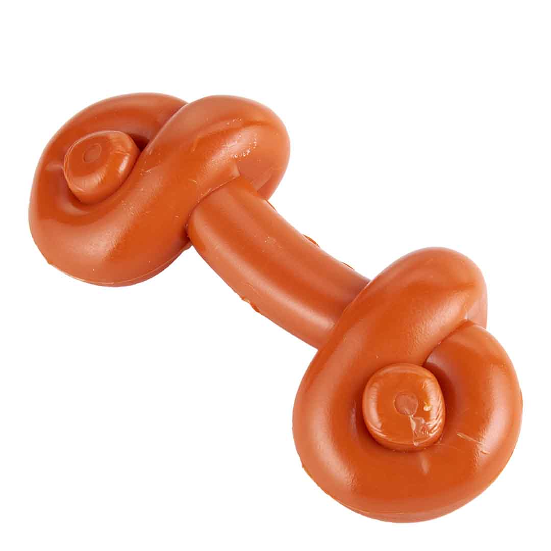 TastyBone Roast Chicken Knotted Bone Dog Chew Toy
