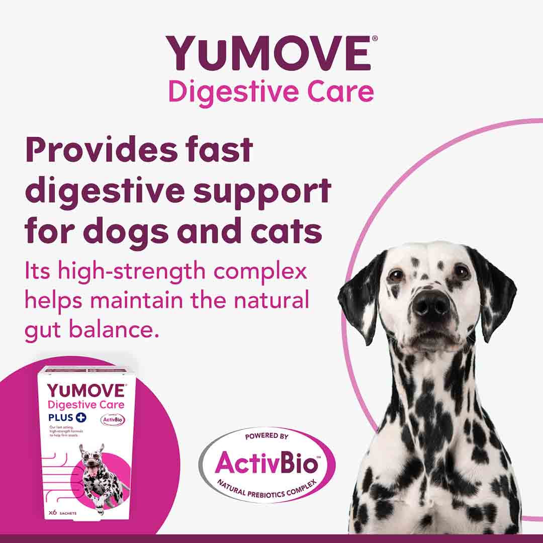 YuMove Digestive Care, 6 Sachets