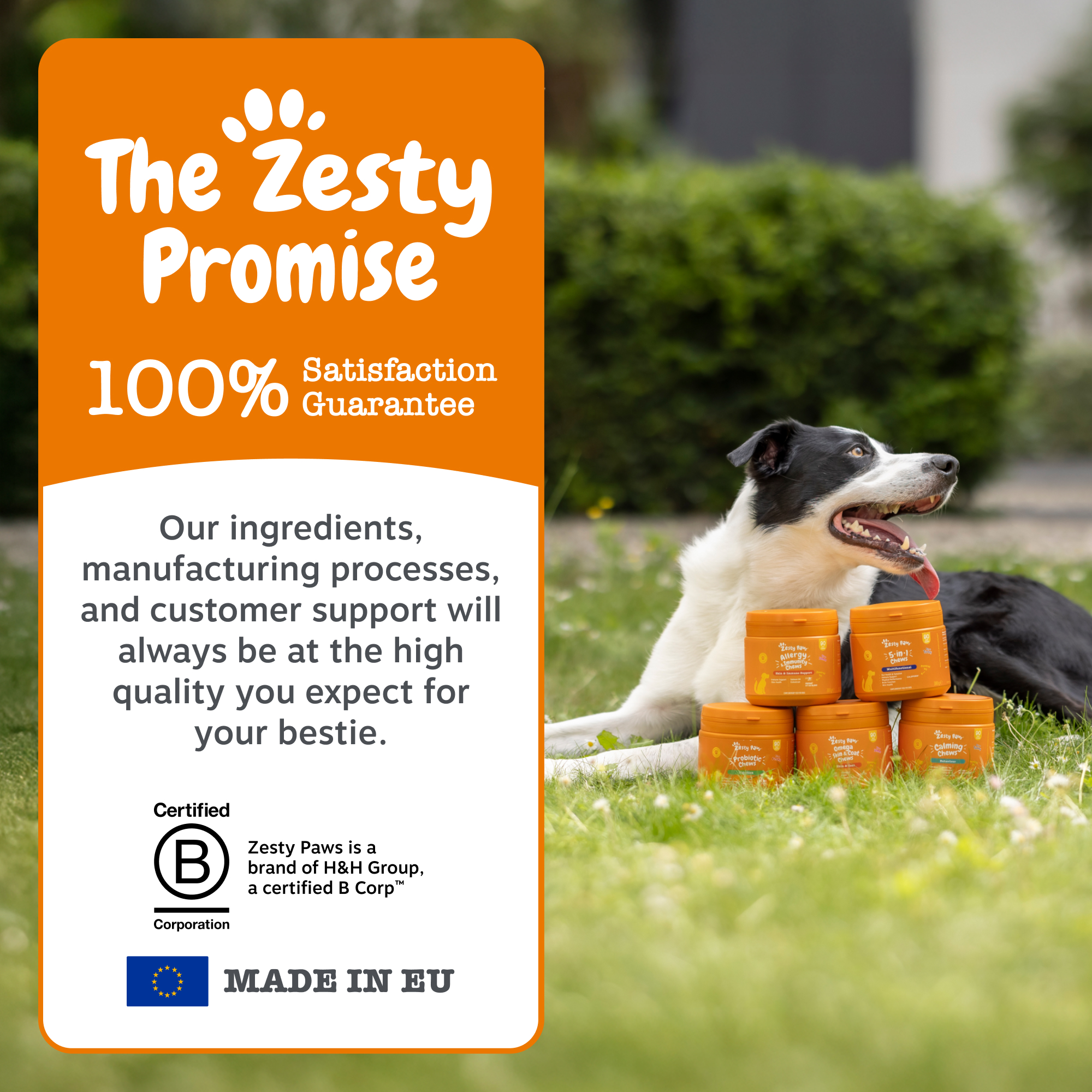 Zesty Paws 5-in-1 Multivitamins for Dogs
