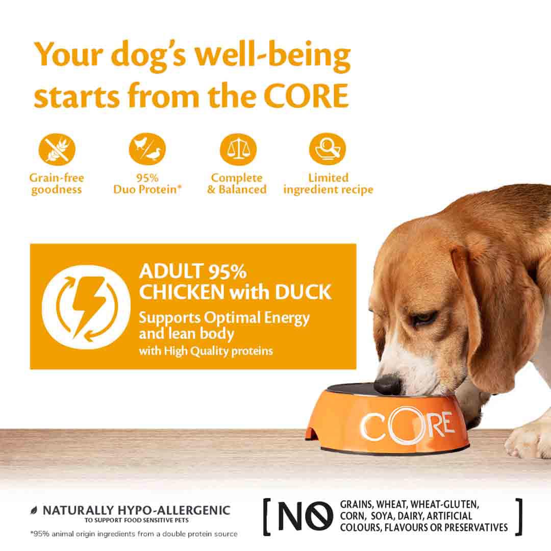 Wellness CORE Wet Dog Food 95% Duo Protein Chicken with Duck with Carrots Recipe 400g