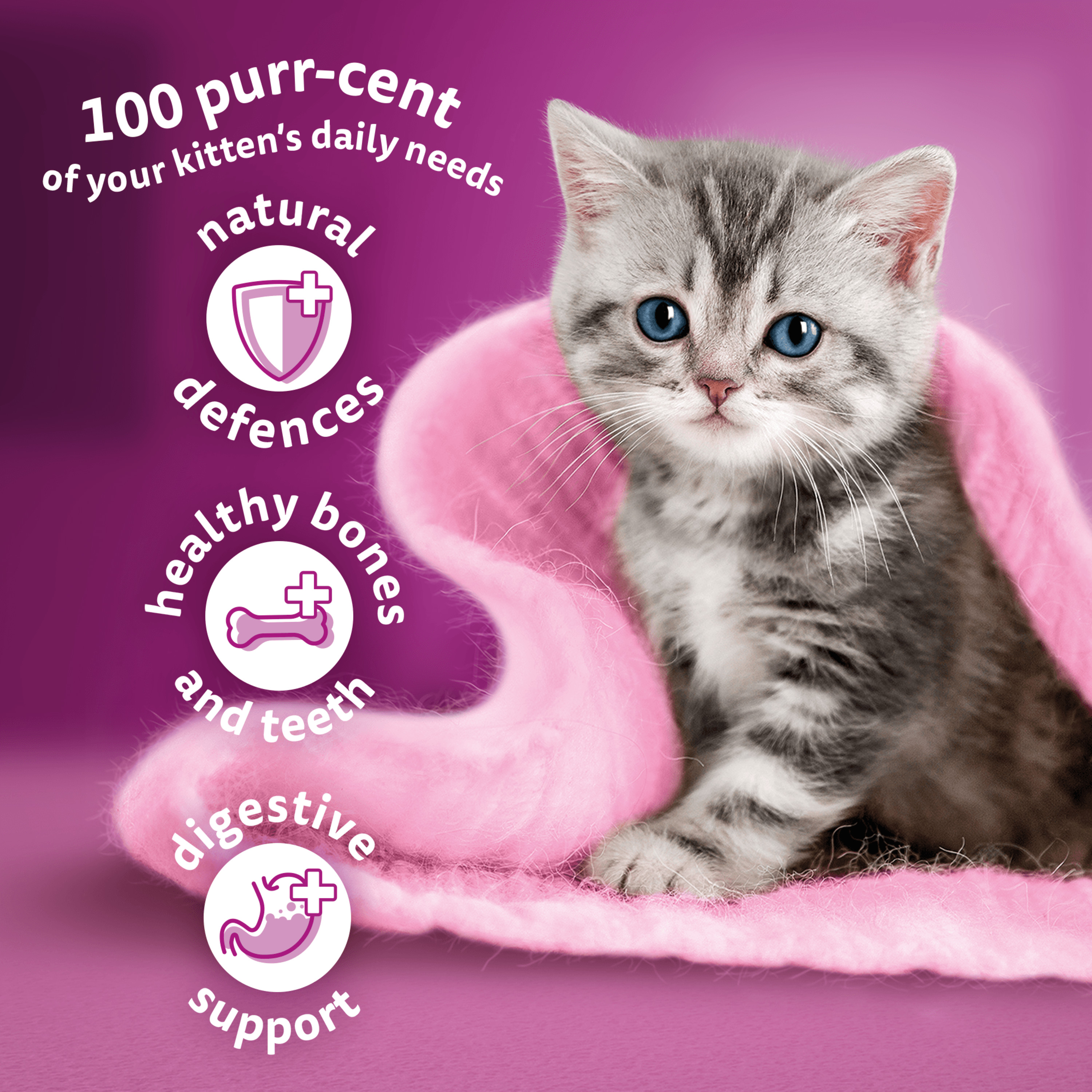 Whiskas 2-12 Months Kitten Complete Dry Cat Food with Chicken 7kg
