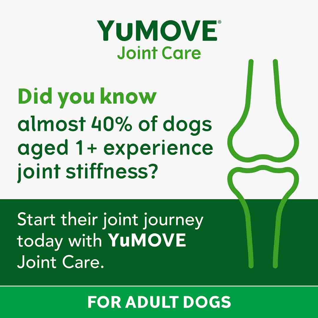 YuMOVE Tablets, Joint Care for Adult Dogs, 120 Tabs