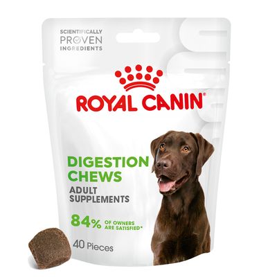 Royal Canin Dog Supplement for Digestion Soft Chews