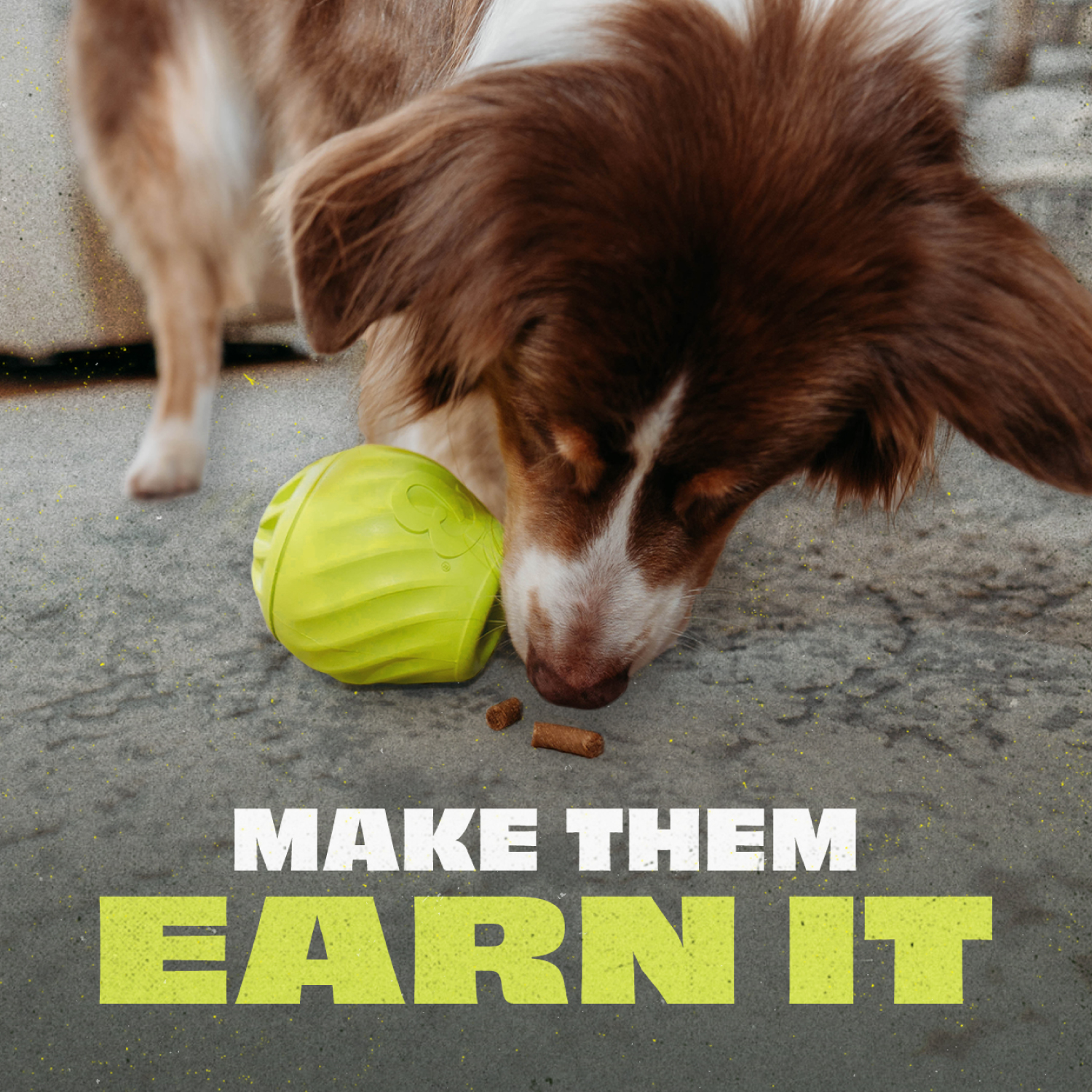 Benebone Rubber Pawbler Enrichment Dog Toy