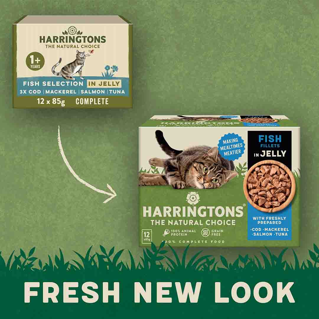 Harringtons Fish In Jelly Wet Cat Food, 12x85g