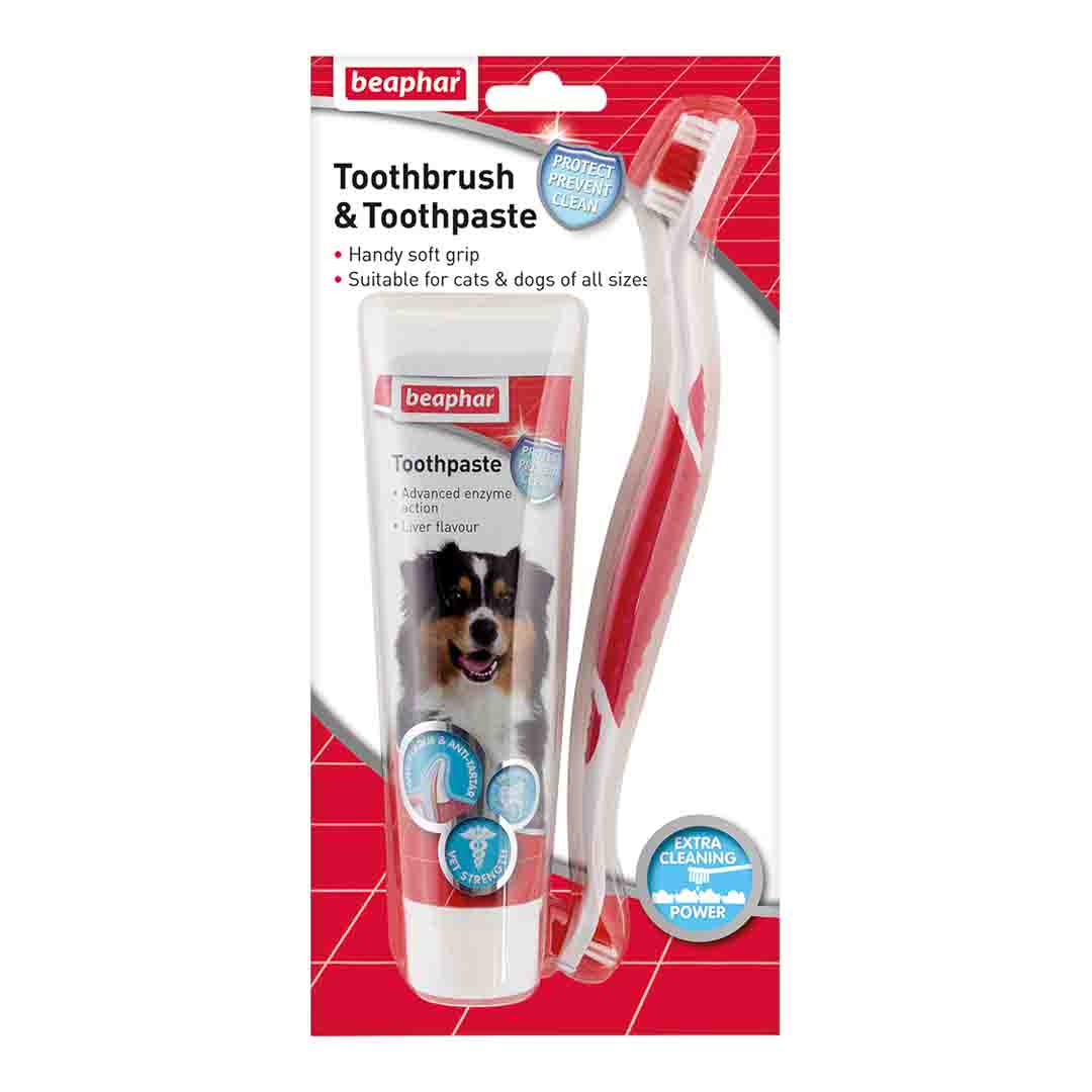 Beaphar Liver Toothpaste & Toothbrush Dental Care Kit for Dogs & Cats, 100g