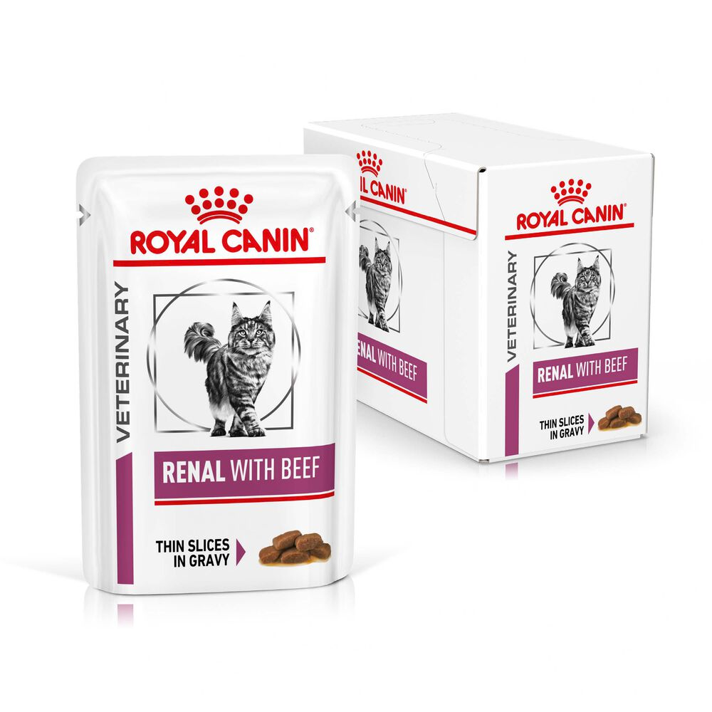 Royal Canin Renal Beef Adult Wet Cat Food Thin Slices In Gravy 48x85g