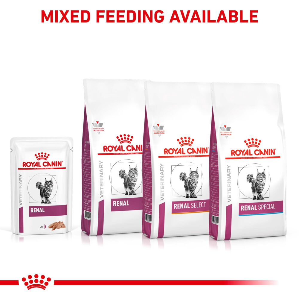 Royal Canin Renal Adult Wet Cat Food In Loaf 48x85g