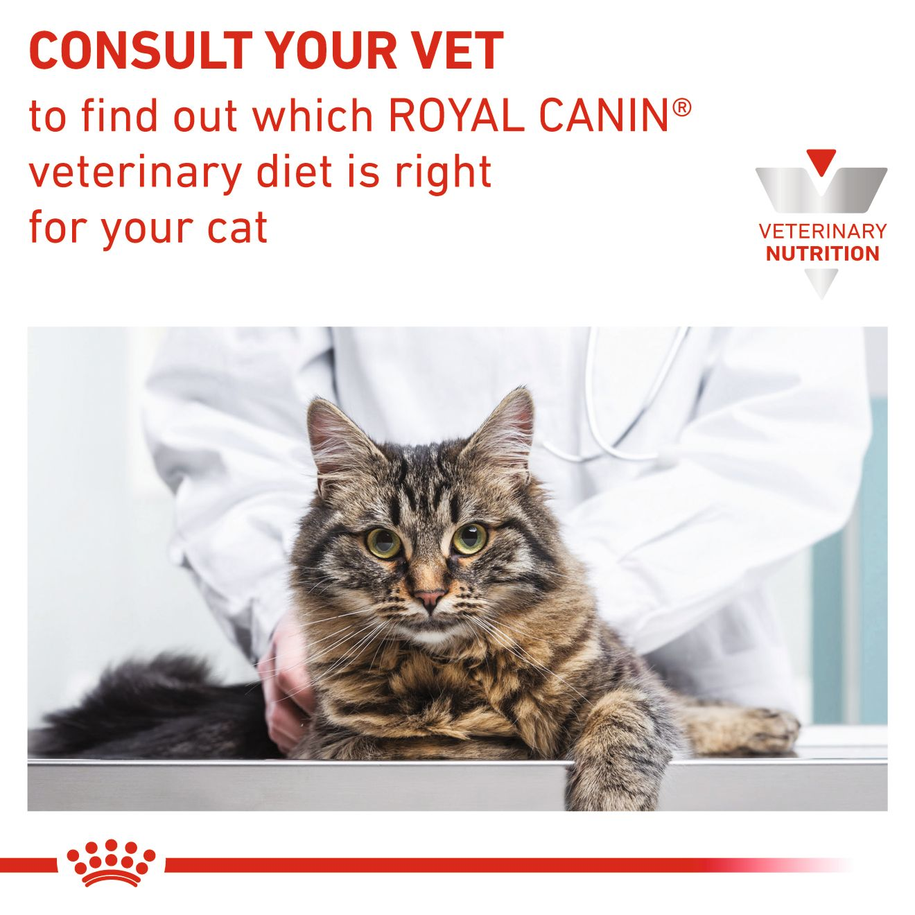 Royal Canin Satiety Weight Management Adult Wet Cat Food Thin Slices In Gravy 48x85g