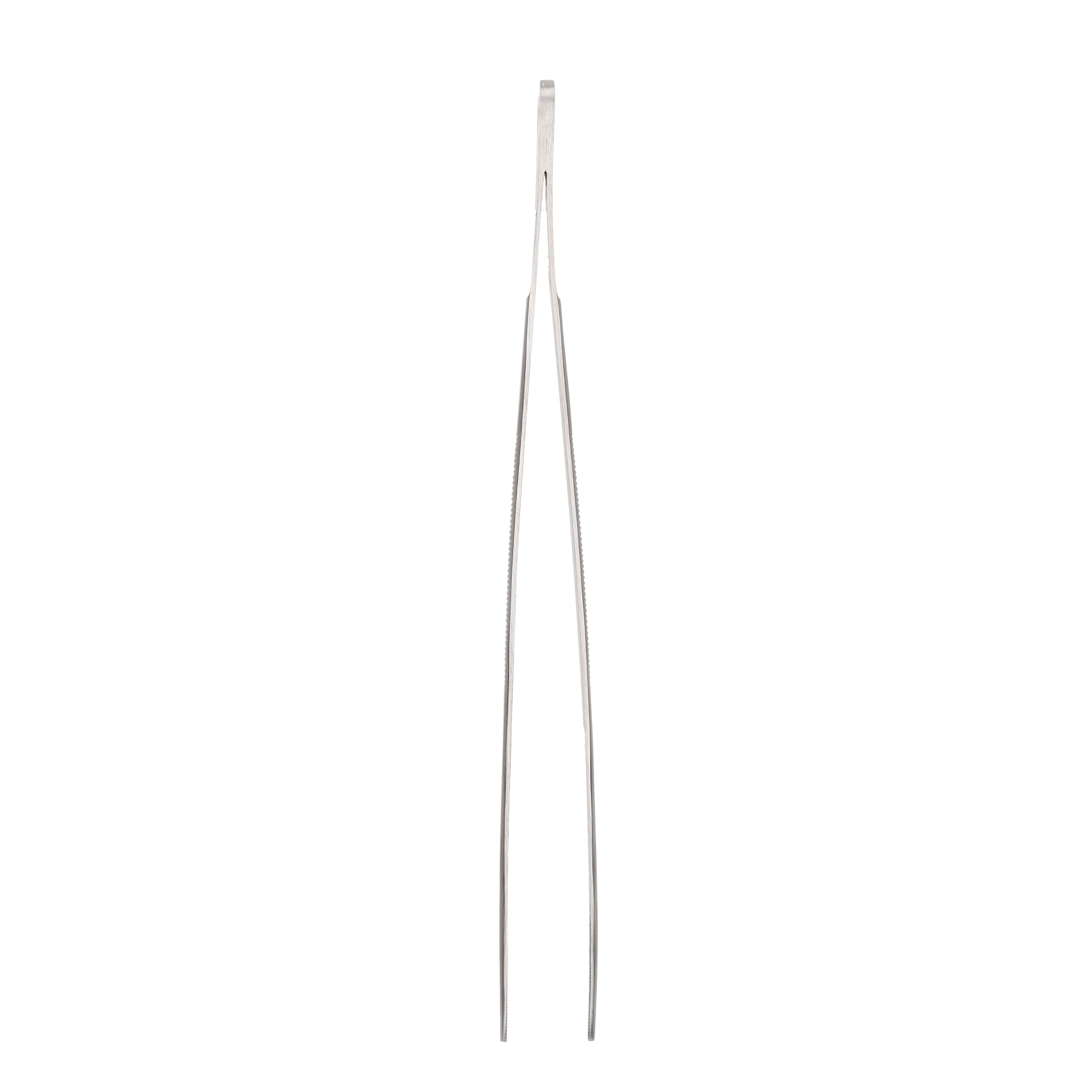 Zoo Med Stainless Steel Reptile Feeding Tongs, 10 Inches