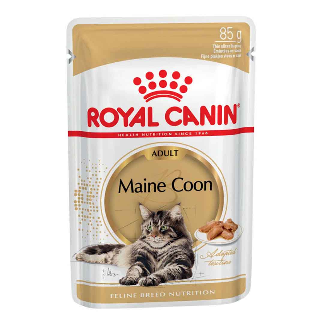 Royal Canin Maine Coon Gravy Wet Cat Food 85g