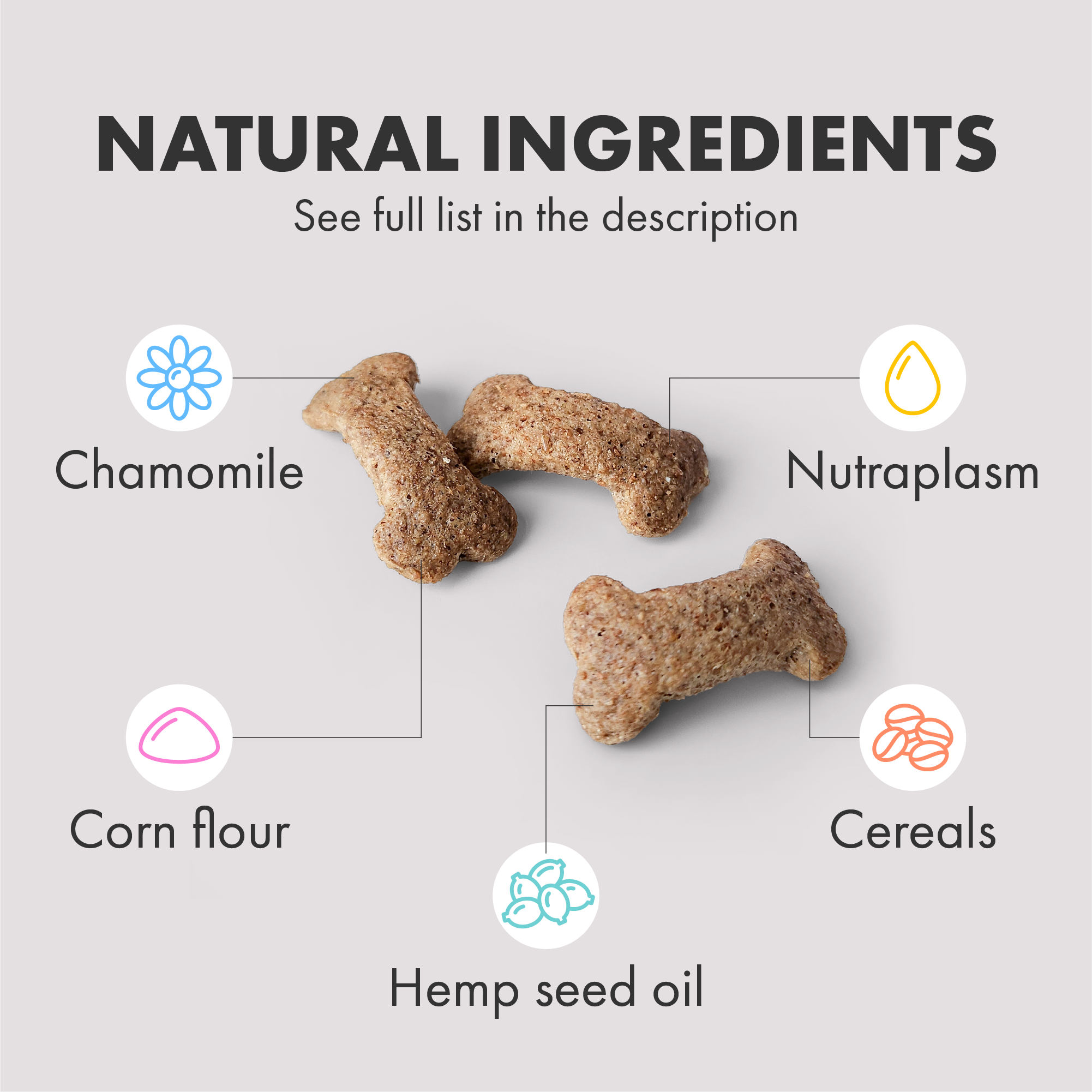 DotDotPet Multifit Multivitamins Dog Supplements 75g