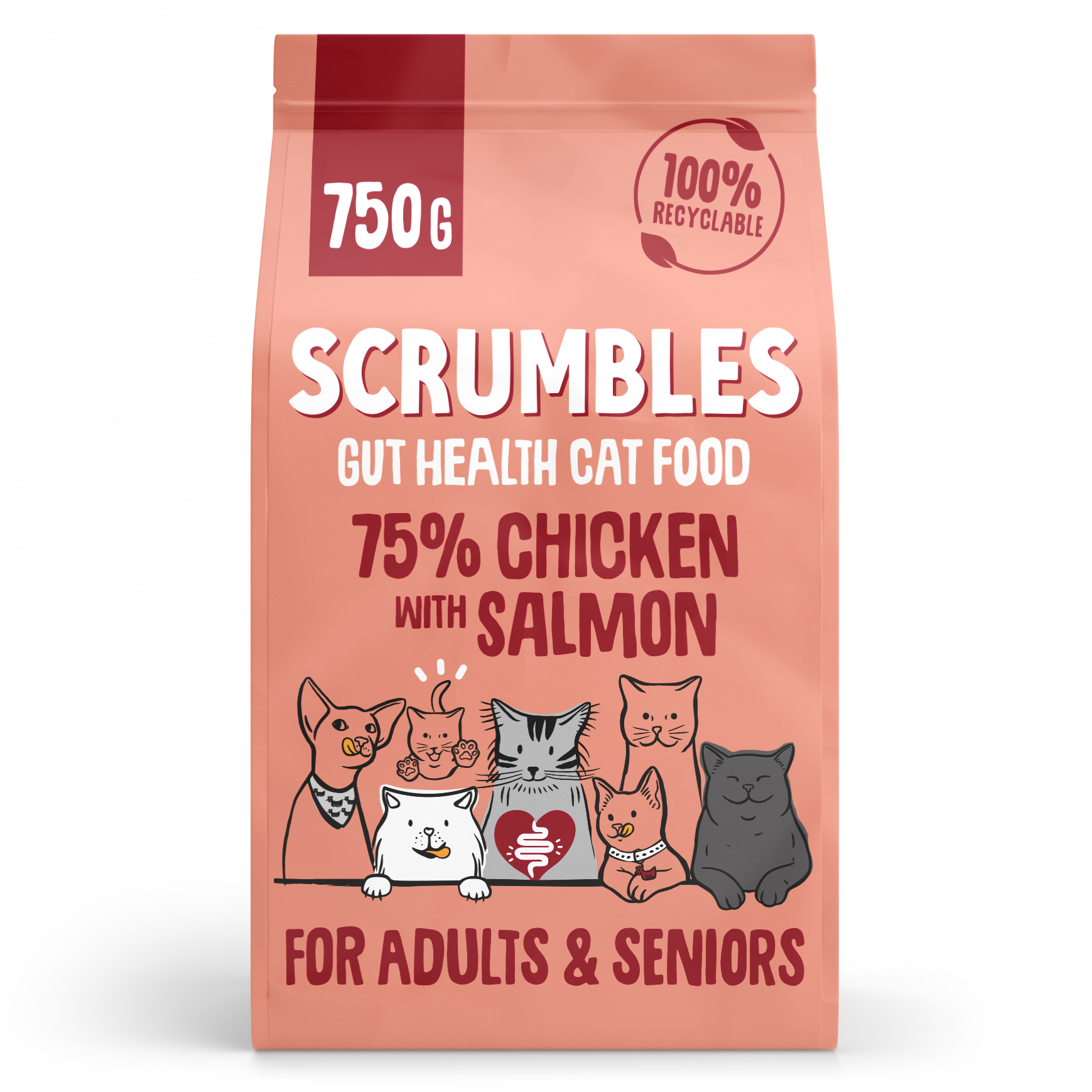 Scrumbles Dry Cat Food for Adult & Seniors Salmon 750g