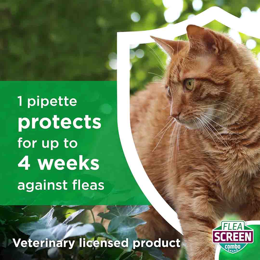 Flea Screen Combo Spot-On Flea & Tick Treatment for Small Dog 2-10kg, 1 Pipettes