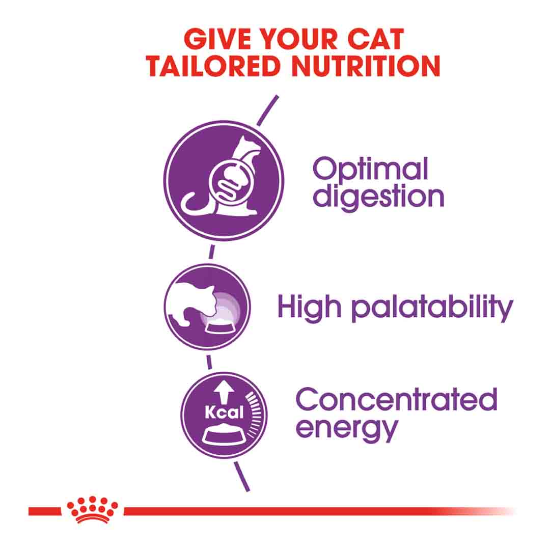 Royal Canin Sensible 33 Dry Cat Food, 400g