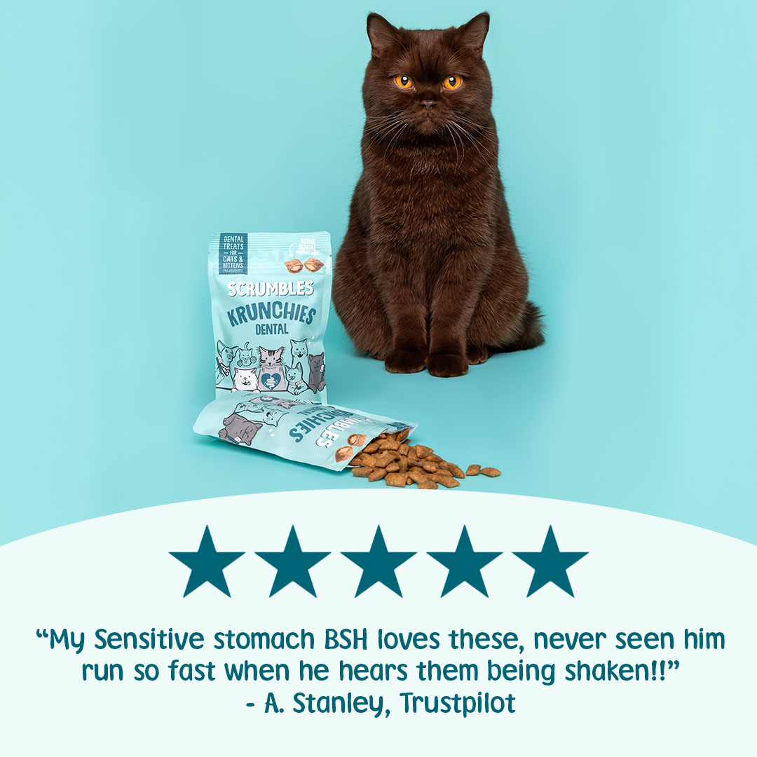 Scrumbles Krunchies Cat Dental Pillow Treats 60g