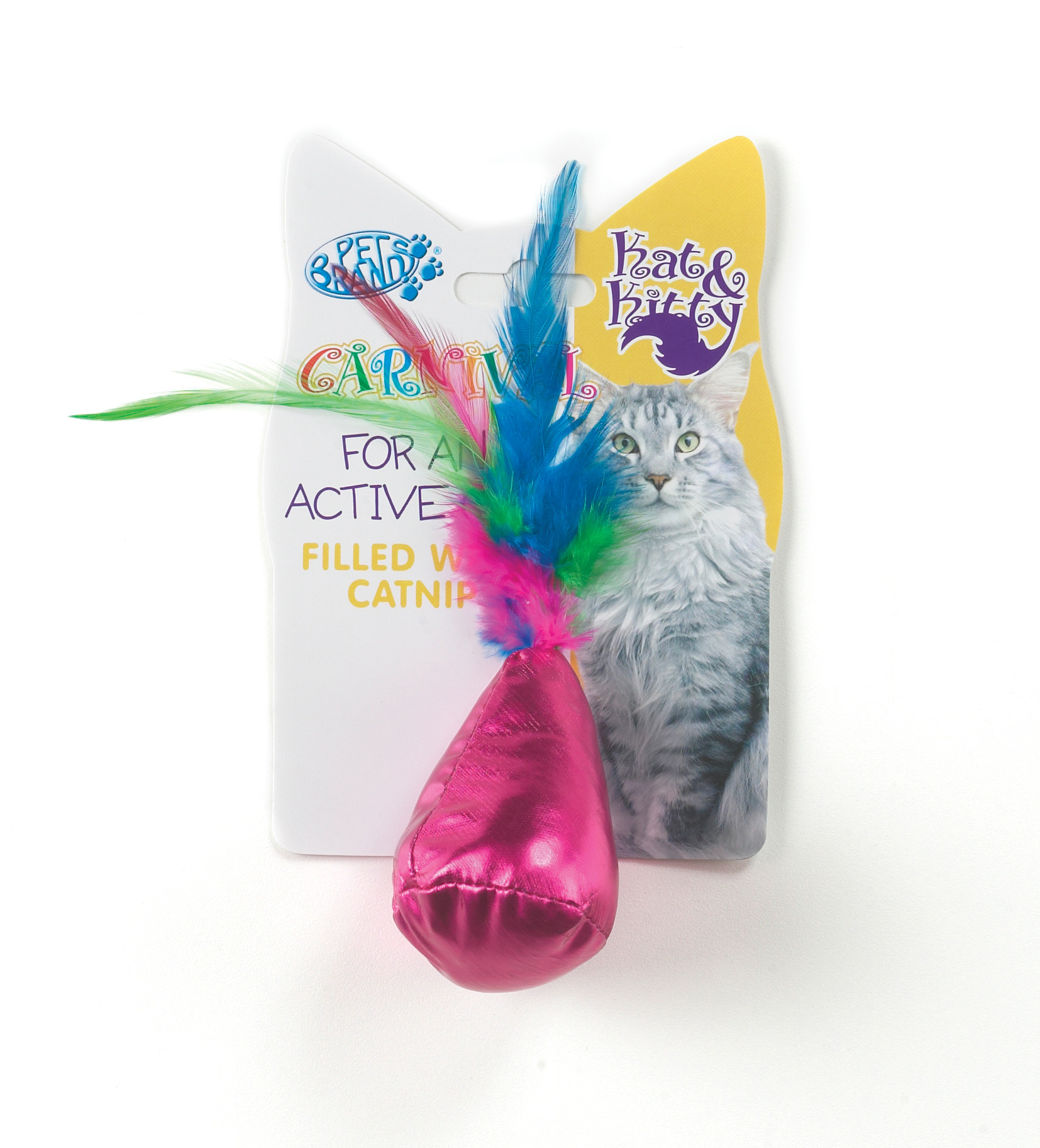 Carnival Cat Teaser Bag and Feather Toy