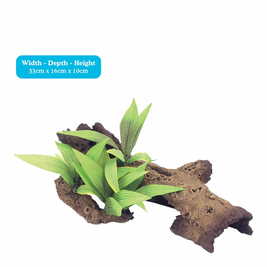Mopani Wood With Plants Fish Tank Decoration