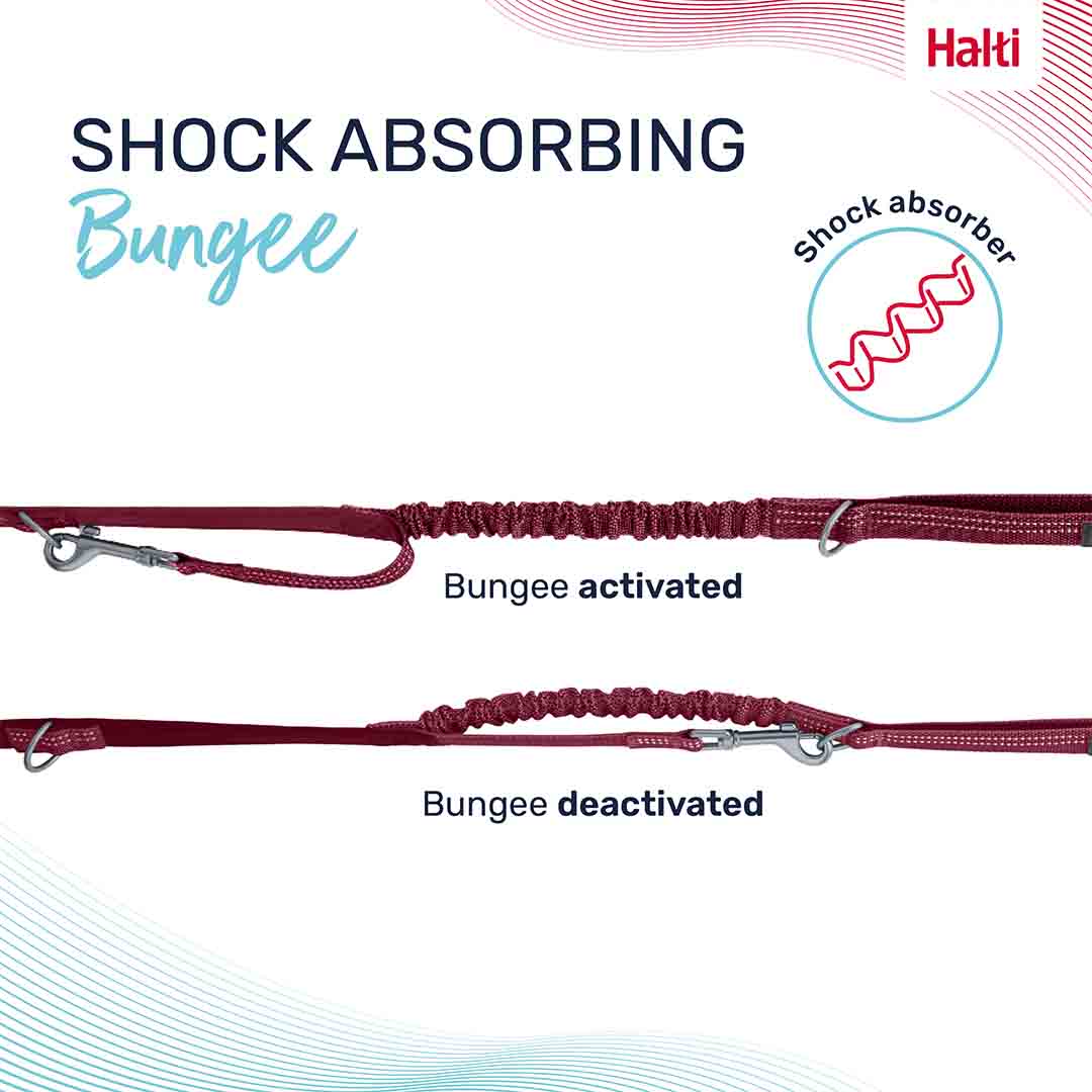 Halti Anatomy Multi Dog Lead Magenta Small