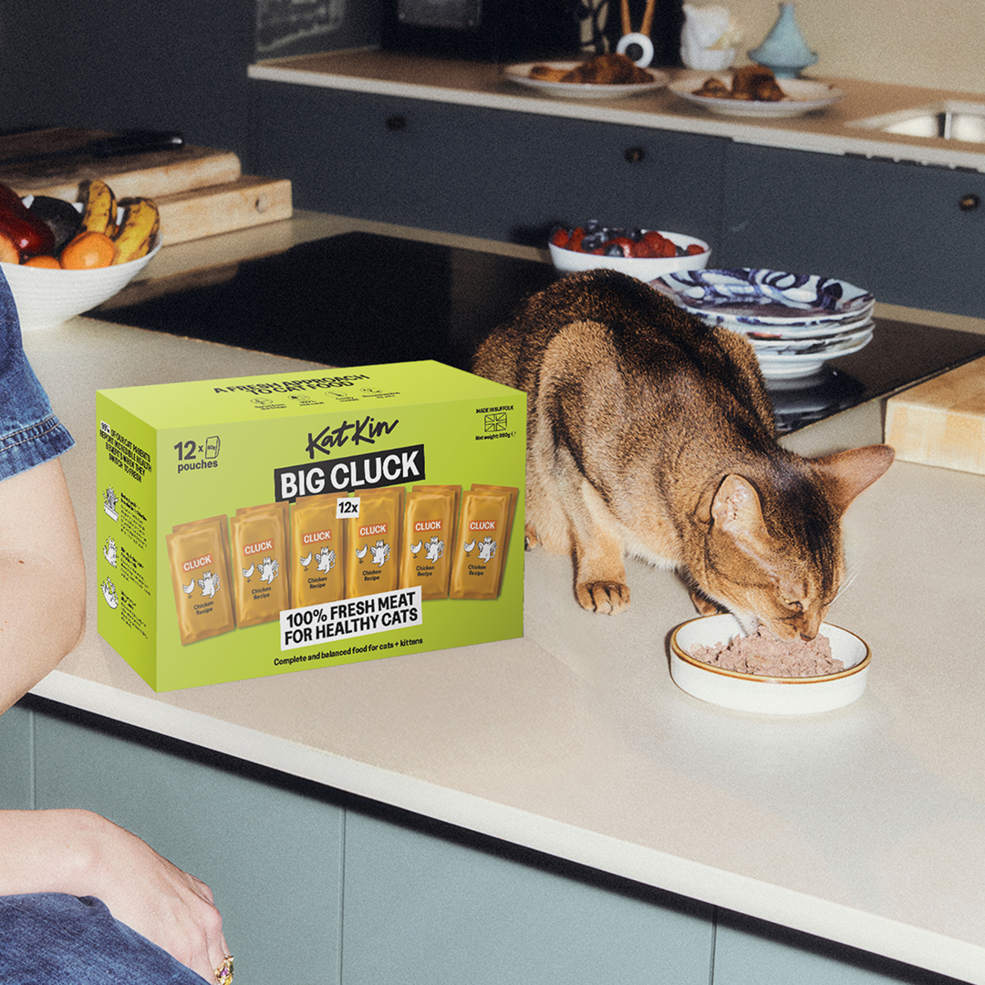 KatKin BIG CLUCK Fresh Cat and Kitten Food, Multipack (Chicken) 12x80g