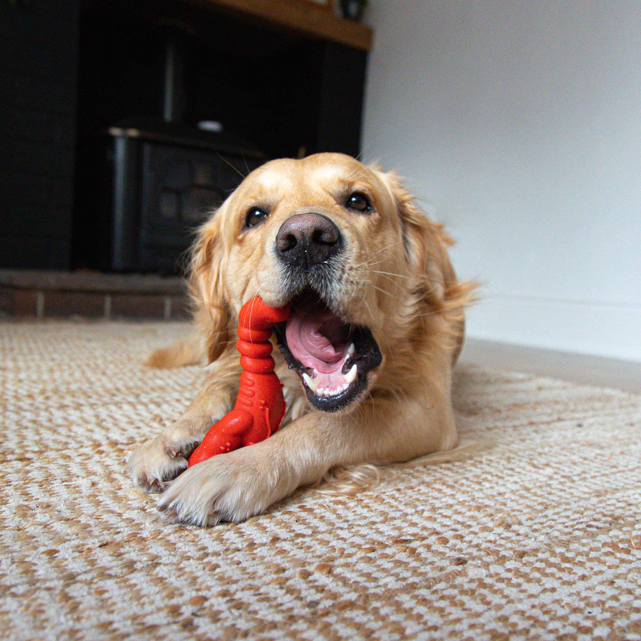 Nylabone Power Chew Lobster Dog Chew Toy - Extra Large