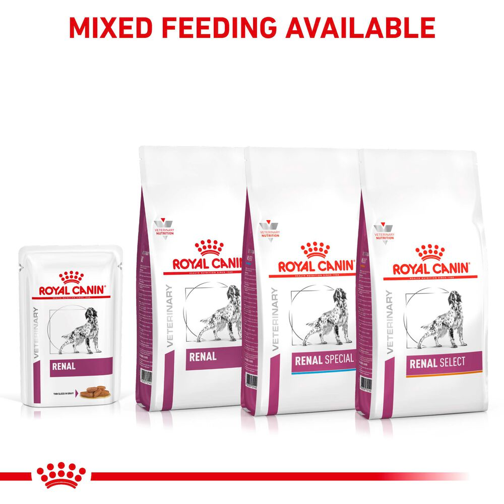 Royal Canin Renal Adult Wet Dog Food Thin Slices In Gravy 48x100g