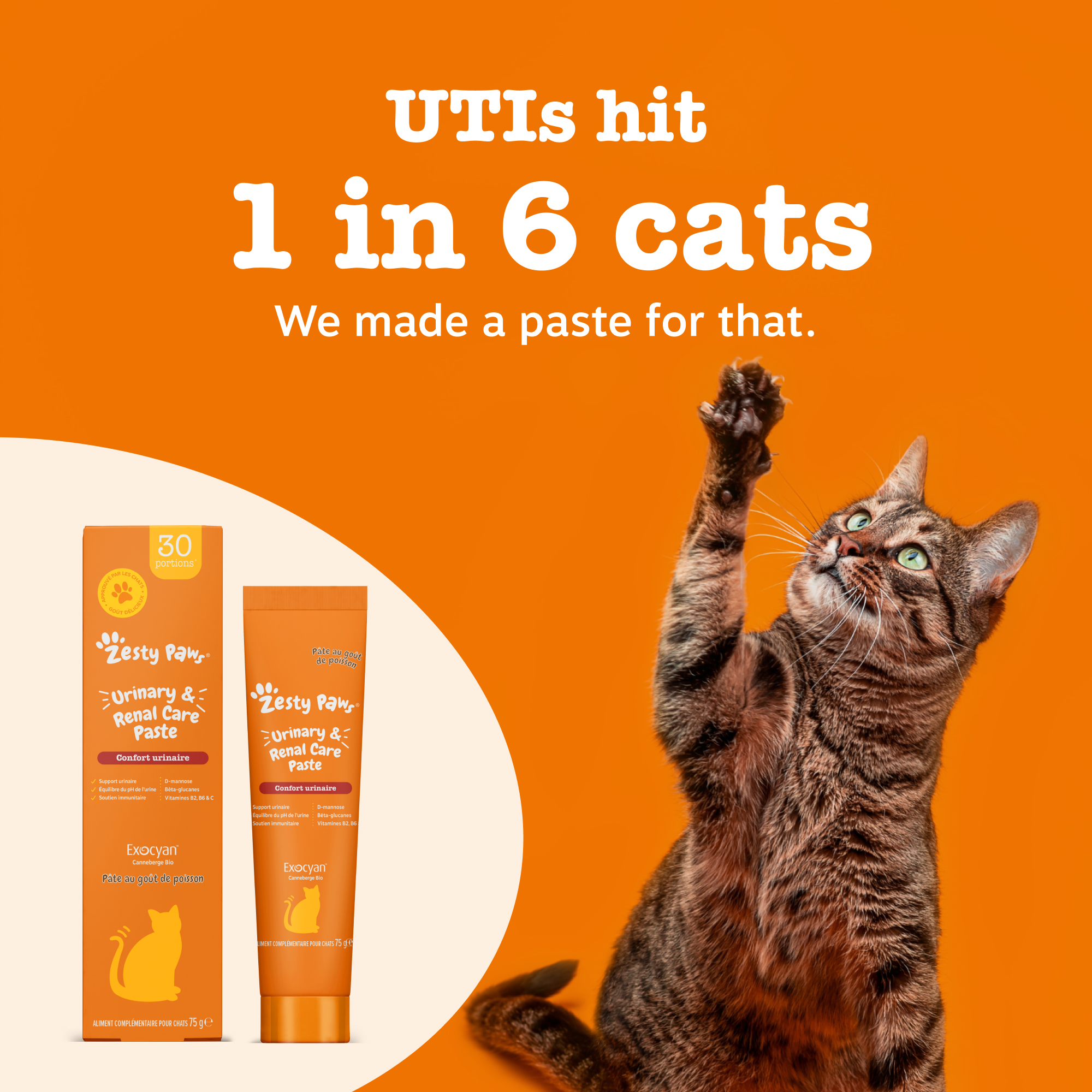Zesty Paws Urinary Care Paste for Cats 120g