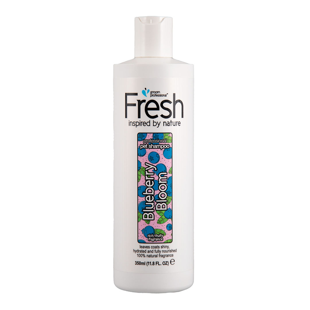 Groom Professional Blueberry Shampoo