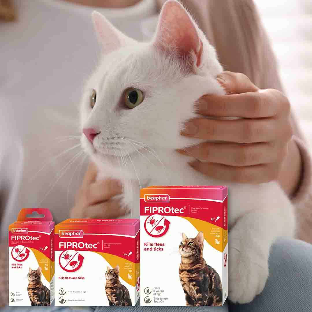 Beaphar FIPROtec Spot-On Flea & Tick Treatment for Cats, 4 Pipettes