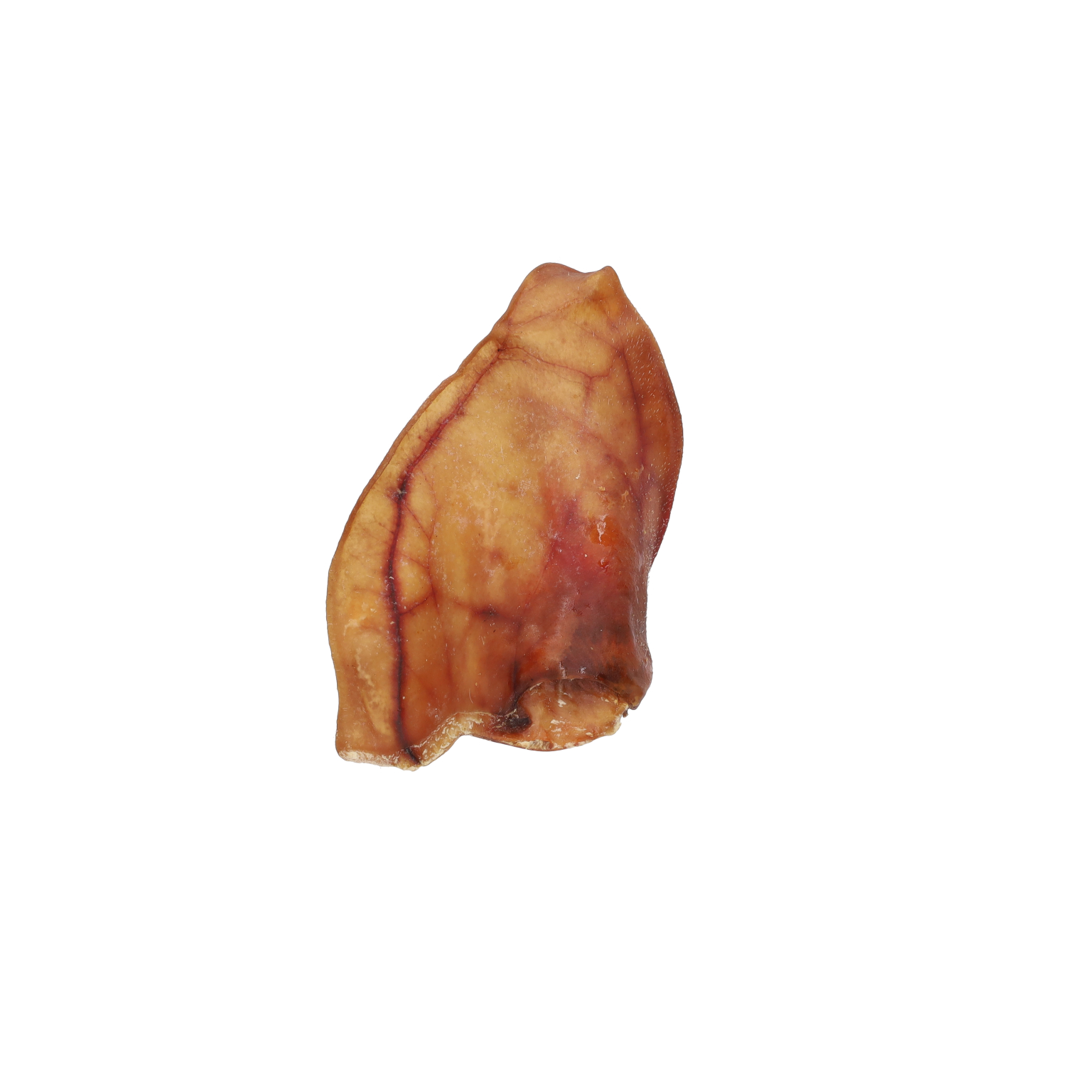 Jollyes Natural Pig Ear Dog Treats Medium