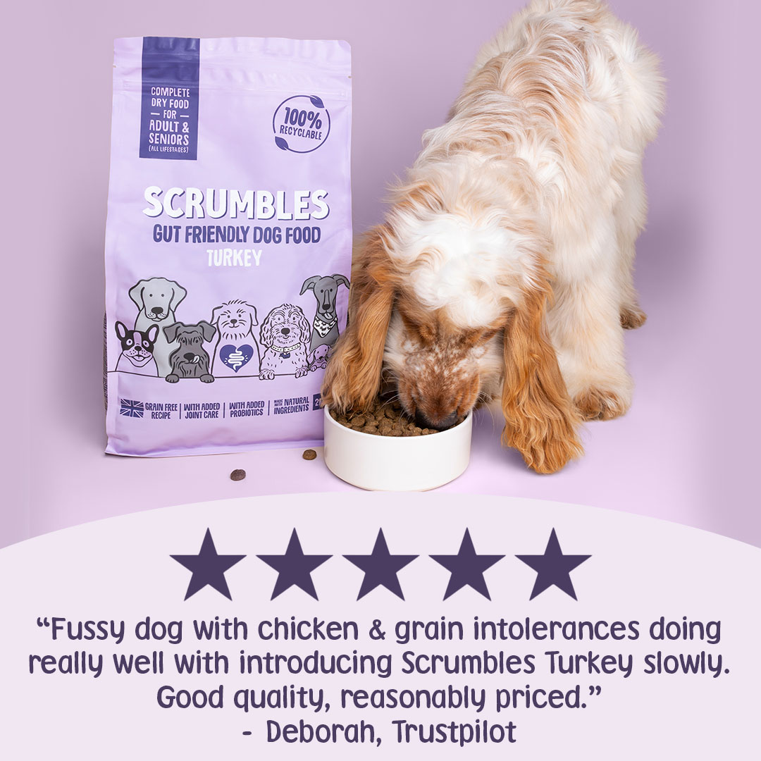 Scrumbles Dry Dog Food for Adult & Seniors Turkey 2kg