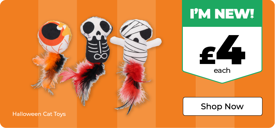 Desktop Banner