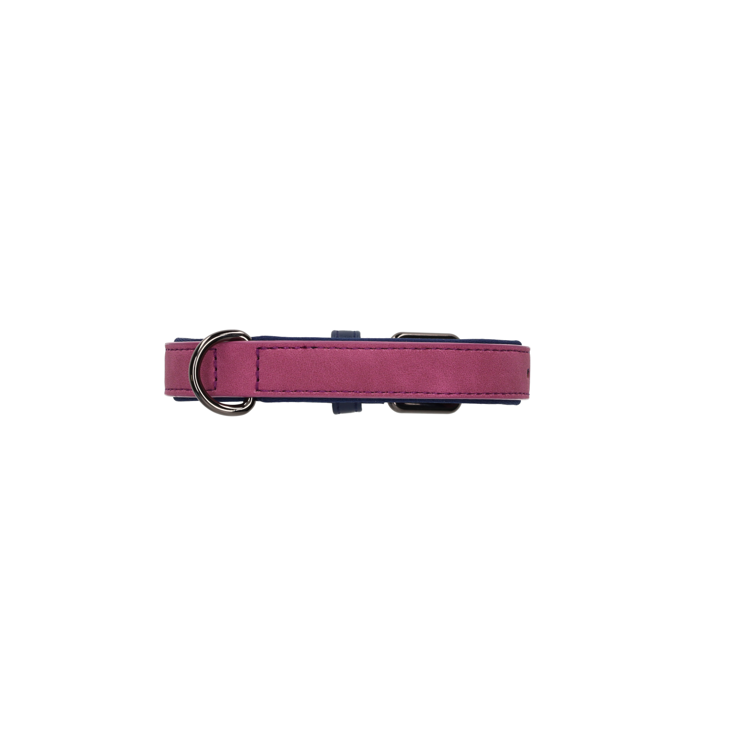 Rufus & Rosie Brights Tech Dog Collar, Large, Purple