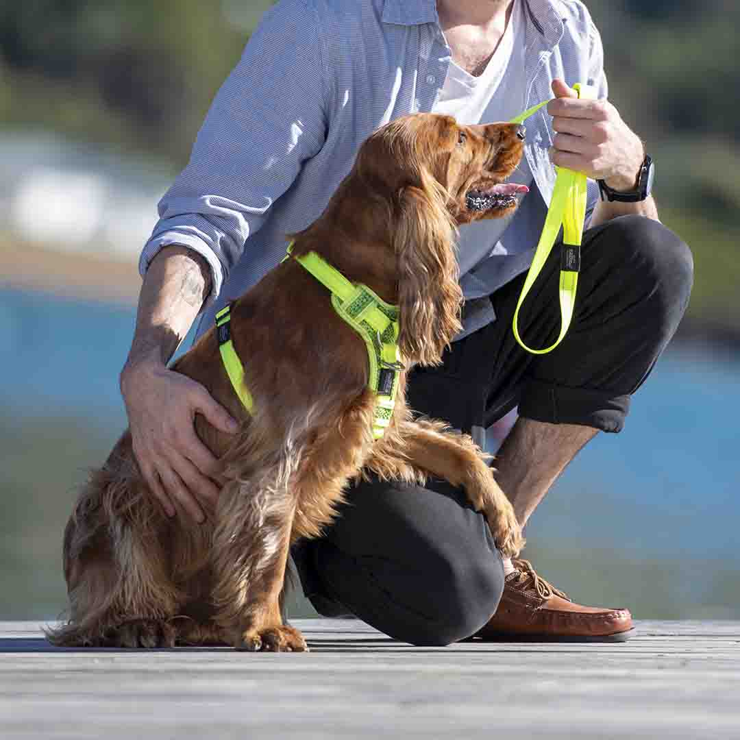Rogz Utility Control Red Dog Harness, Medium