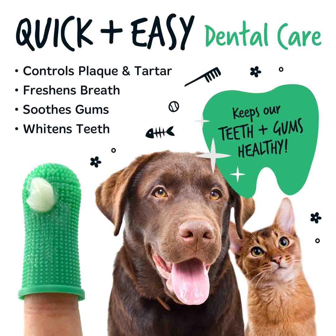 Bugalugs Dog Silicone Finger Dental Brush
