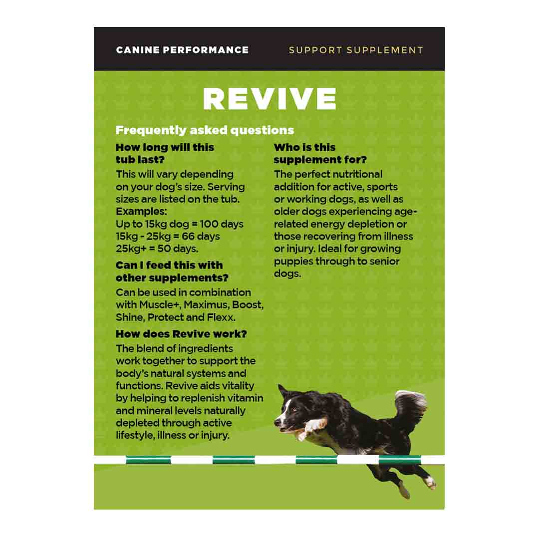ProDog Raw Revive Recovery & Protection 300g