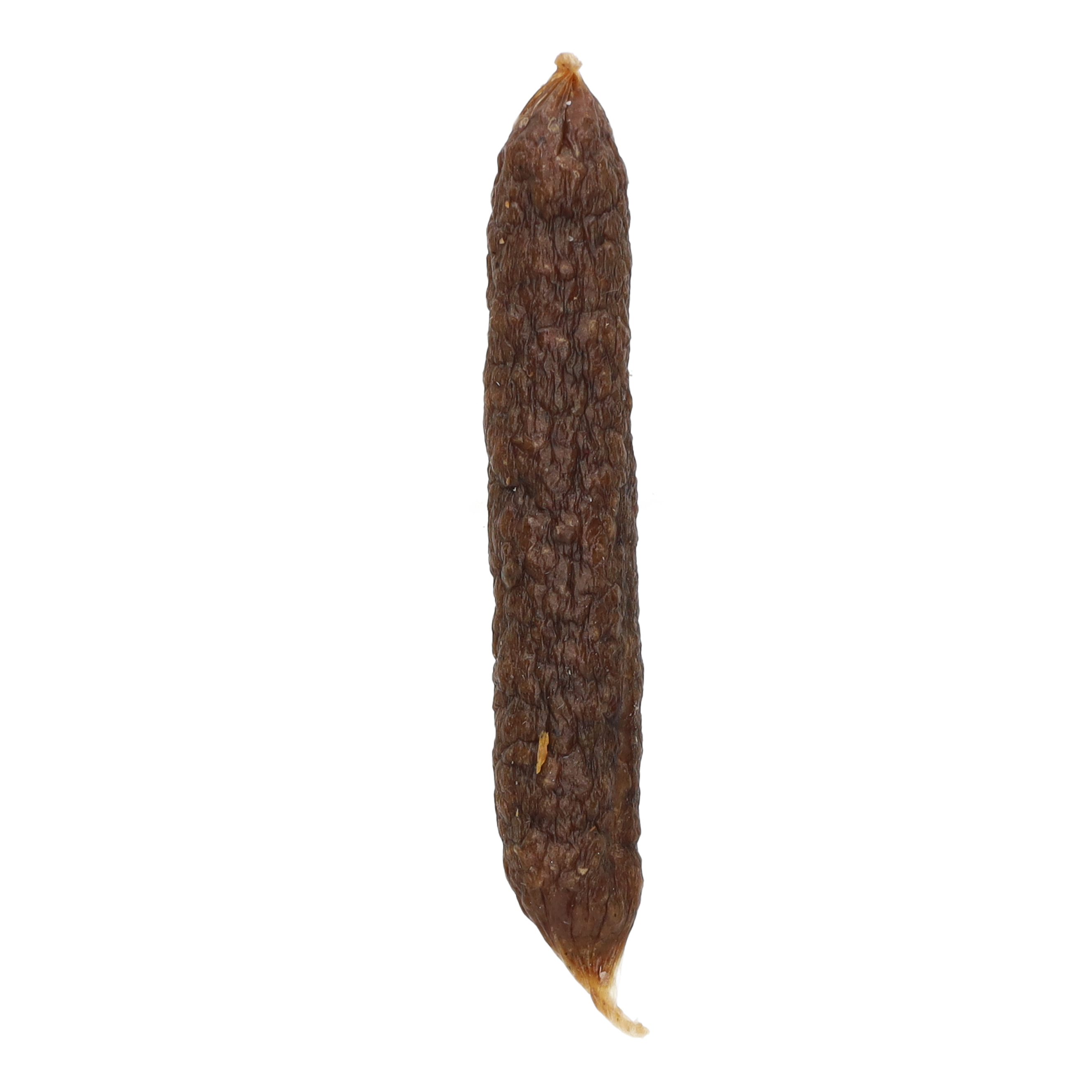 Jollyes Beef & Tripe Sausage Natural Dog Treat, 4 inch