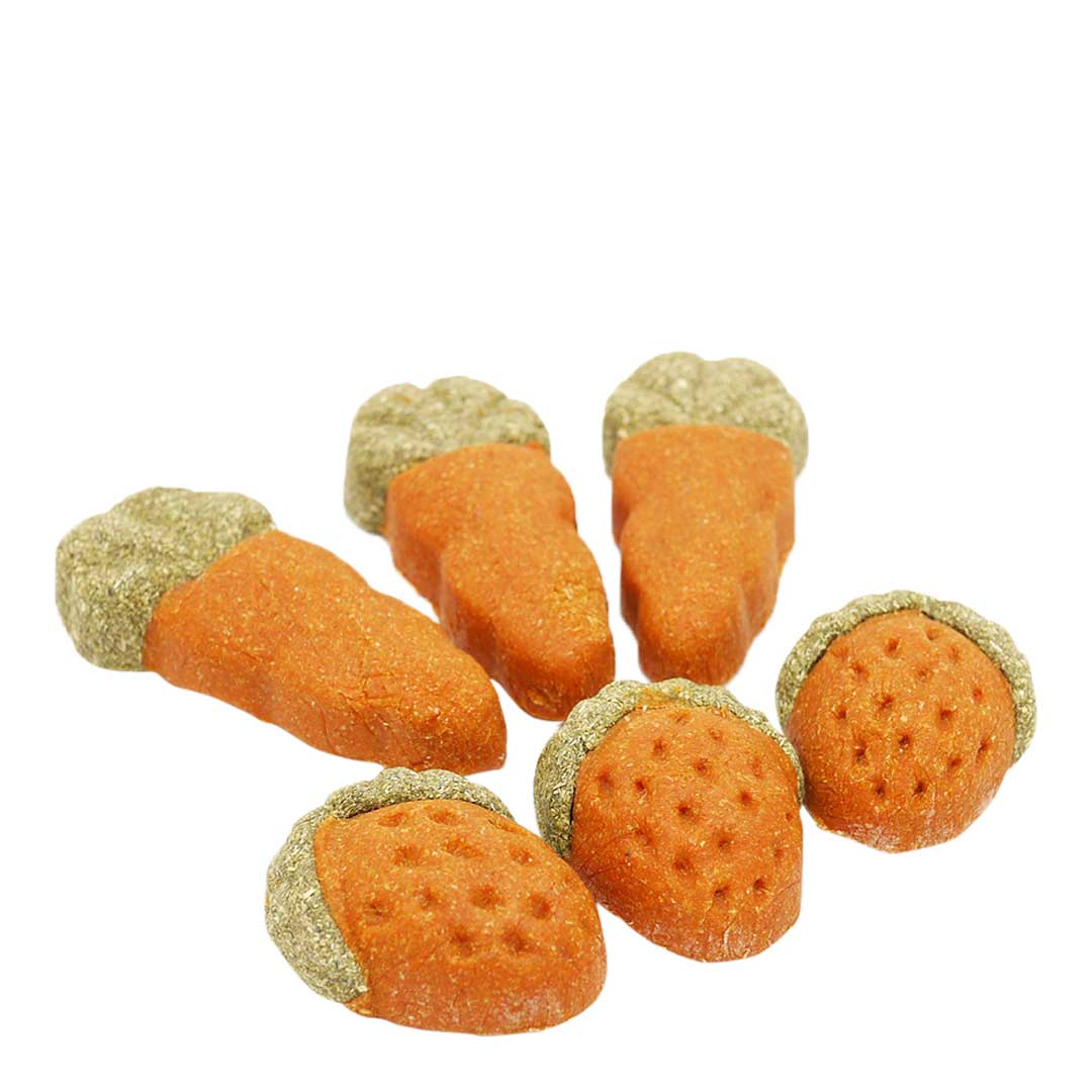 Rosewood Gnawty N Nice Fruit & Veg Chew Toy