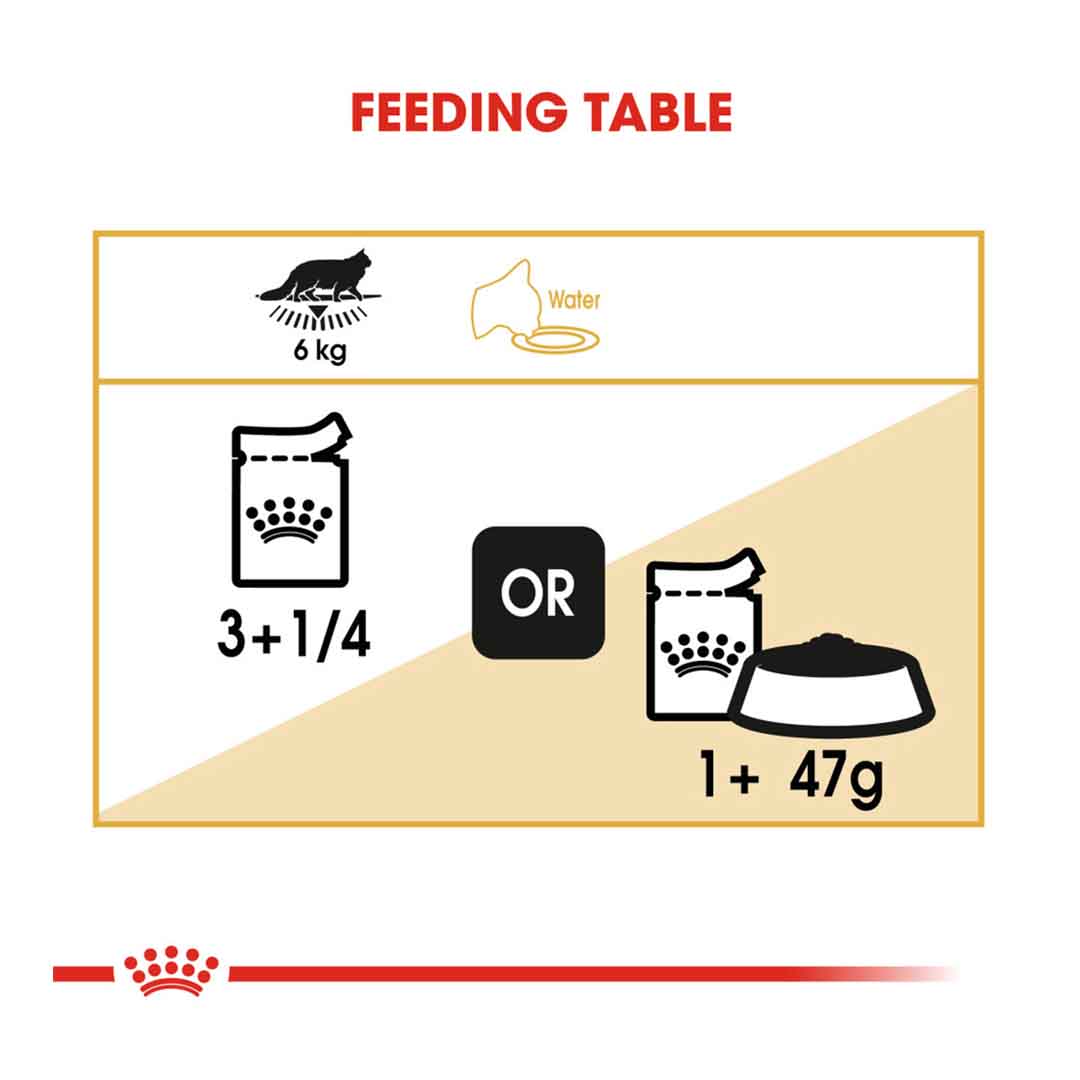 Royal Canin Maine Coon Gravy Wet Cat Food 85g