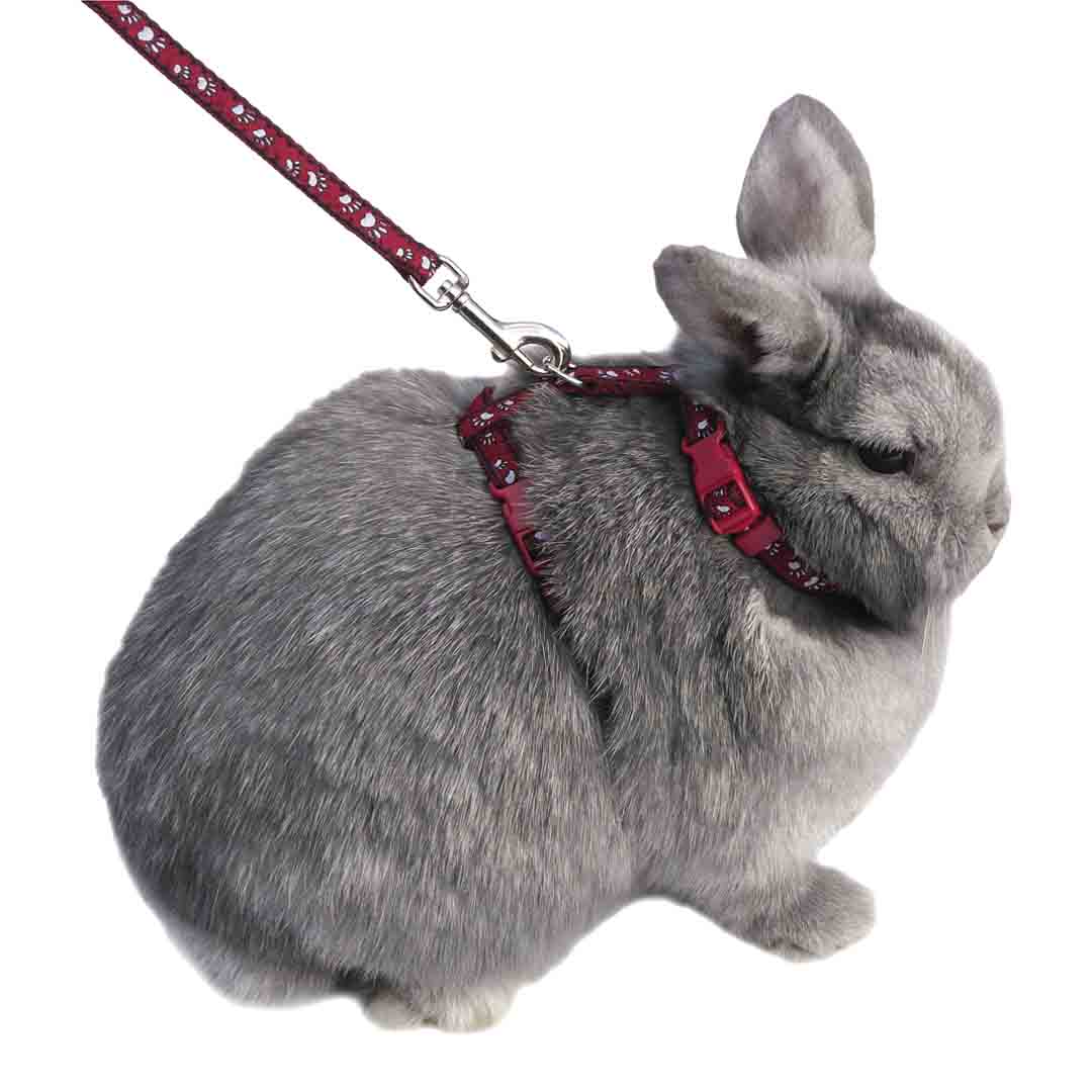 Rosewood Small Animal Harness Set, Paw Print 