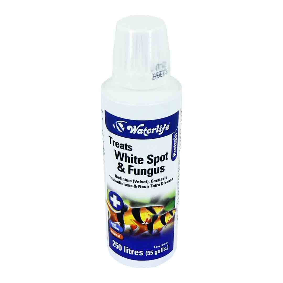 Waterlife Protozin, Tropical and Coldwater Fish Treatment, 100ml