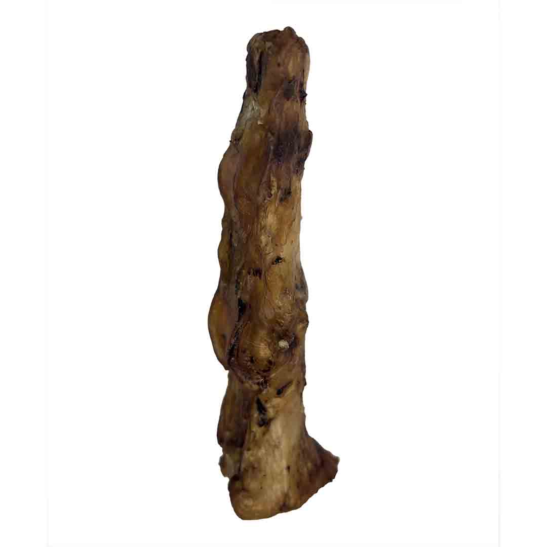 Jollyes Ostrich Foot Bone Natural Dog Treat