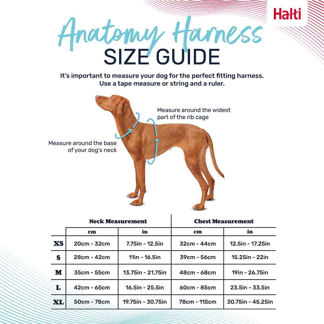 Halti Anatomy Dog Harness Magenta X-Small